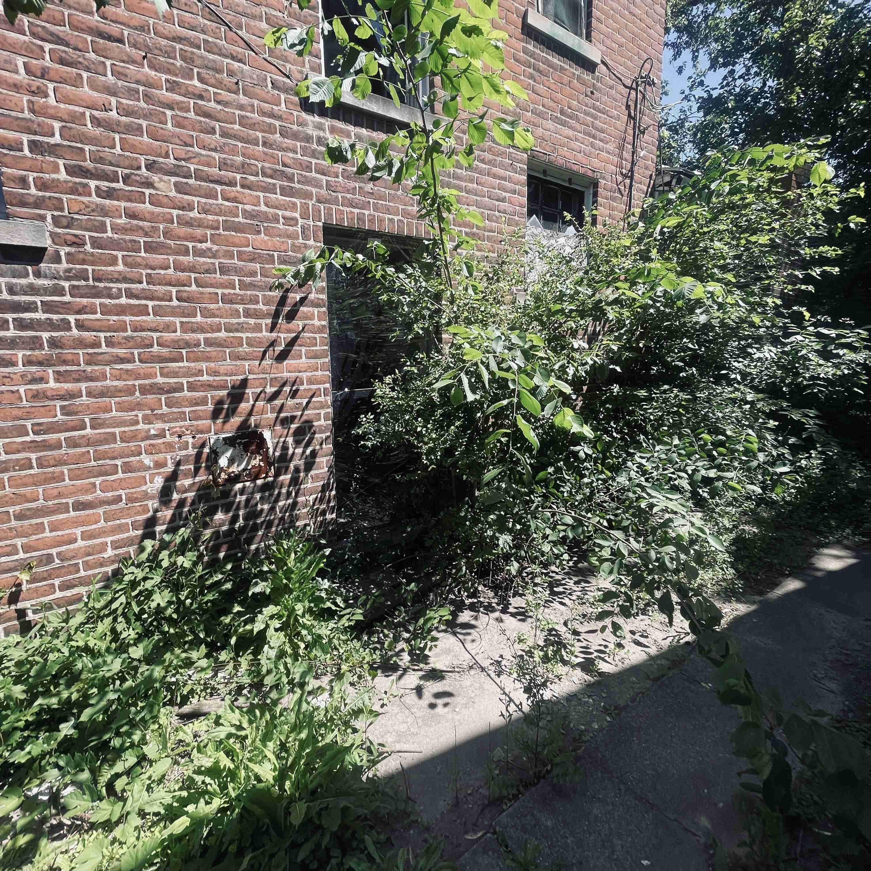 14910 Robson (14).jpg